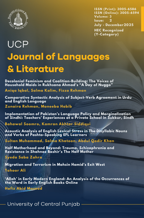					View Vol. 3 No. 2 (2025): UCP Journal of Language & Literature  (UCP-JLL)
				